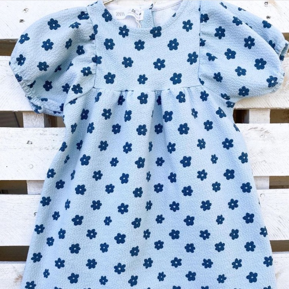 Zara dress